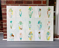 Tulip and Iris on White