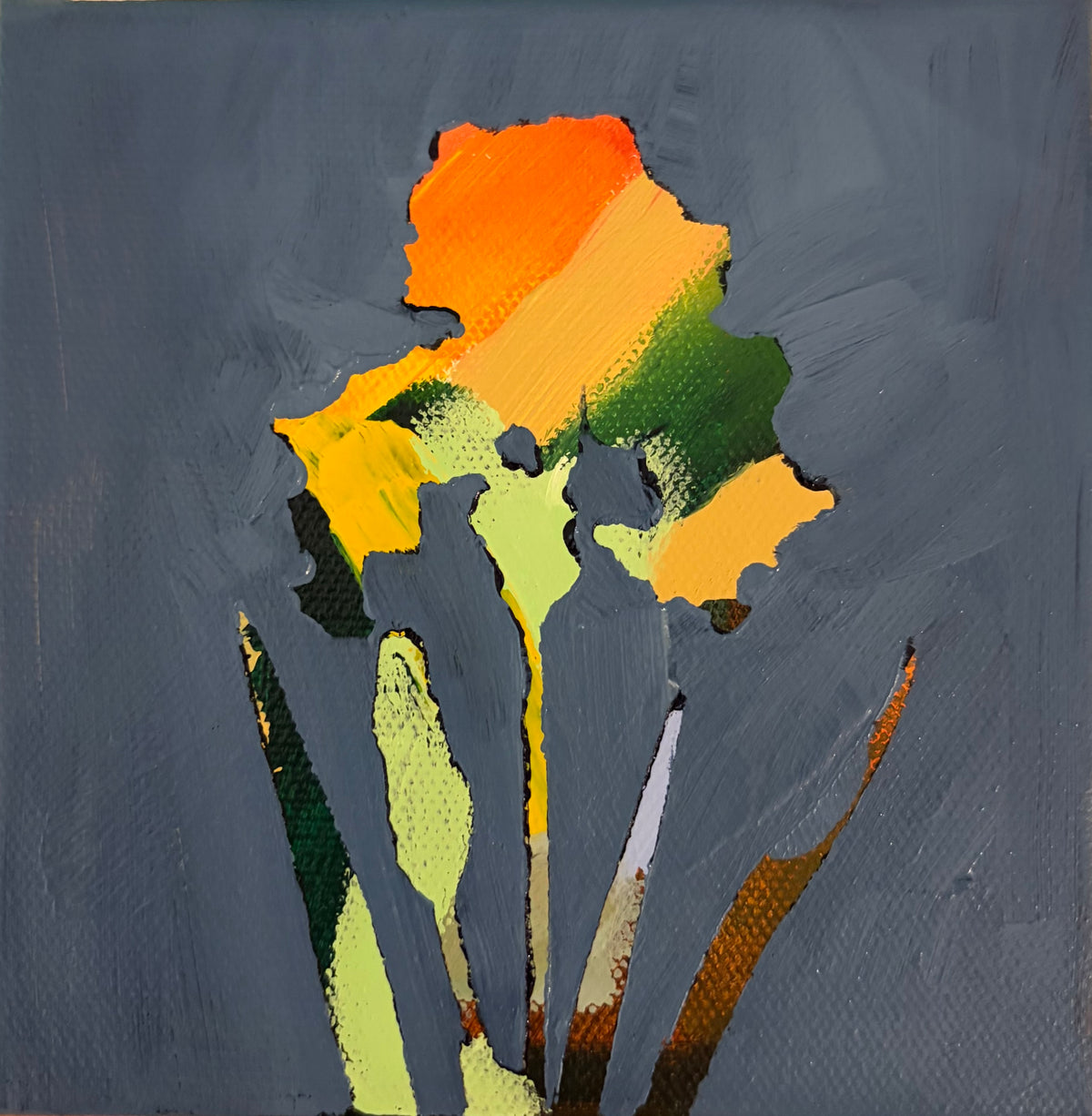 Navy Iris I