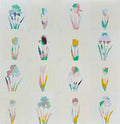 Tulip and Iris on White