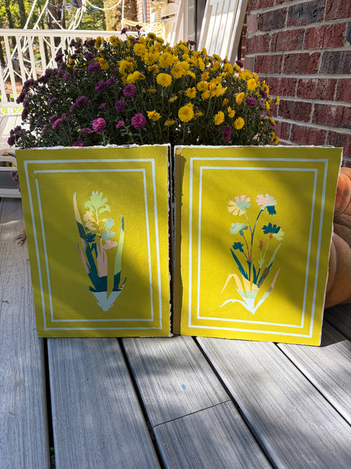 Chartreuse Cornflower